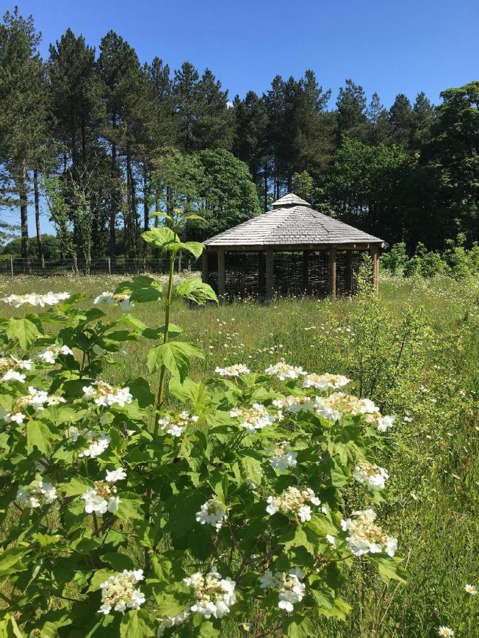 Hollicarrs - Sunflower Lodge Йорк Экстерьер фото